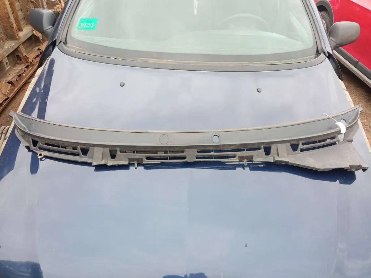 Решетка стеклоочистителя (Дождевик) Citroen Xsara 1 поколение