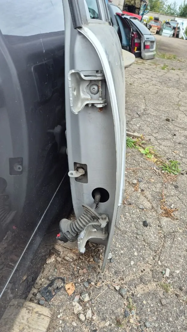 Петля двери задней левой Citroen C3 1 поколение