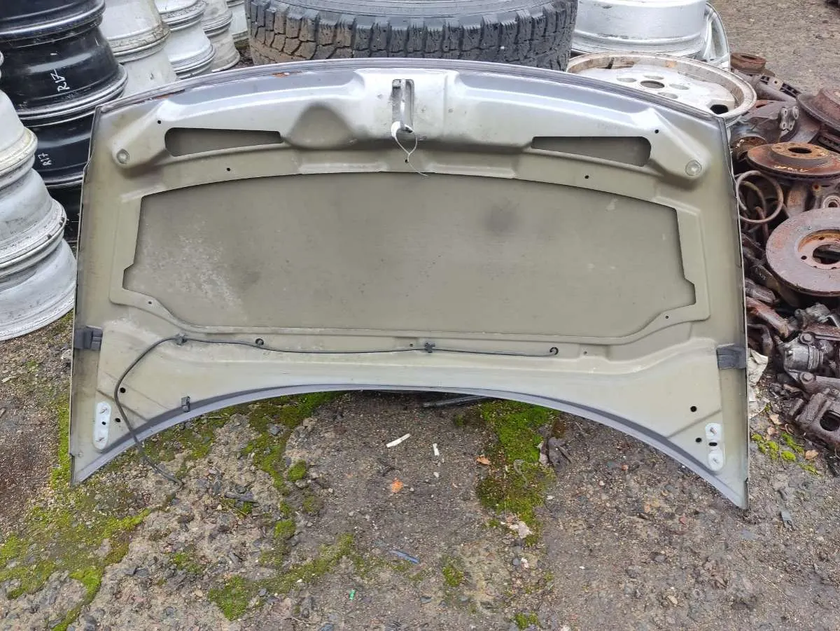 Петля капота левая Citroen C3 1 поколение Артикул IMP-260602-08991