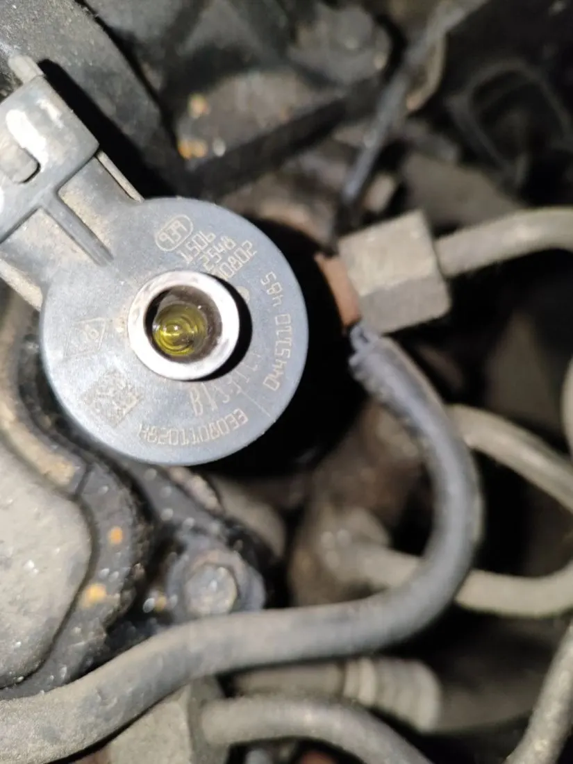 Форсунка бензиновая Renault Kangoo 2 поколение 0445110485