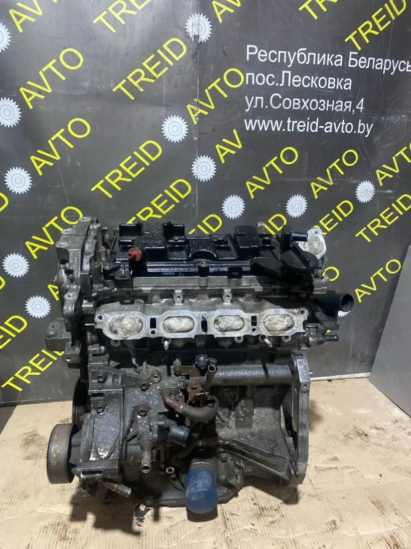 Защита (пыльник) двигателя Nissan Qashqai 1 поколение MR20DD — фото 3