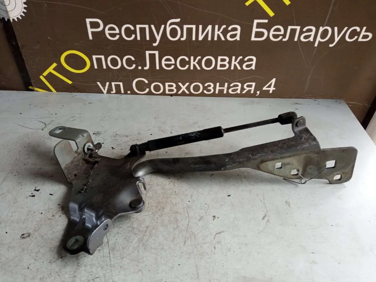 Петля капота левая Renault Scenic 3 поколение 654010004R