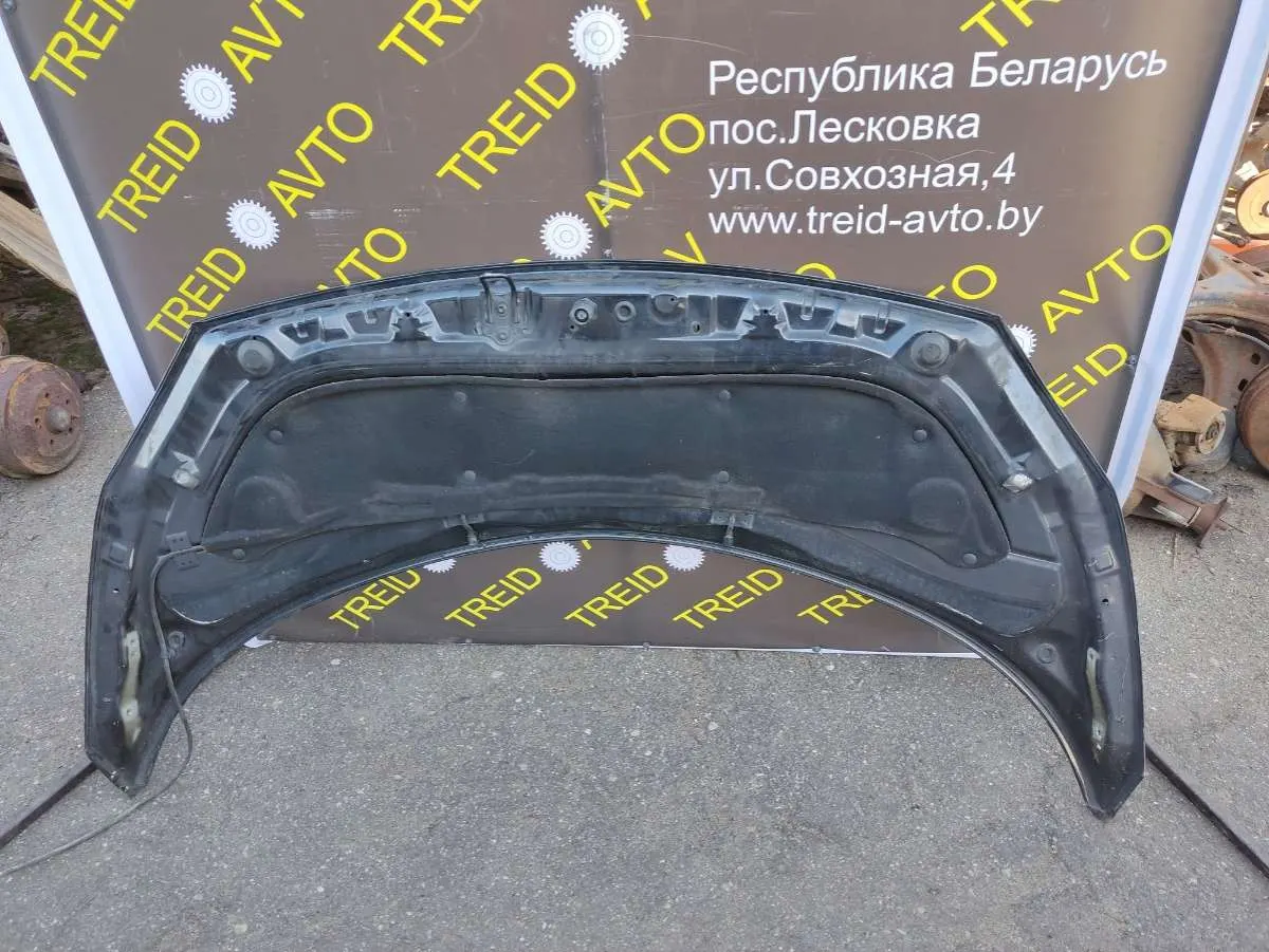 Петля капота левая Renault Scenic 2 поколение — фото 3