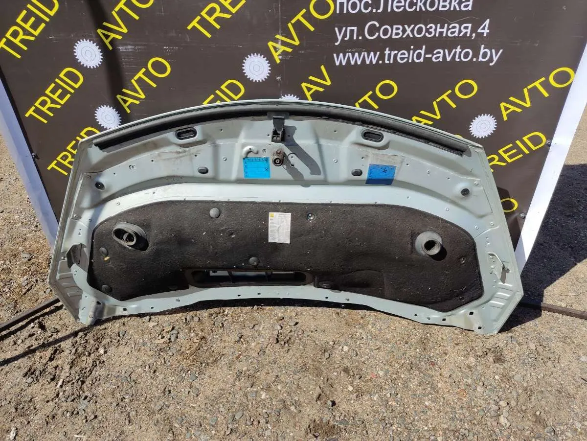 Петля капота левая Renault Espace 4 поколение — фото 3