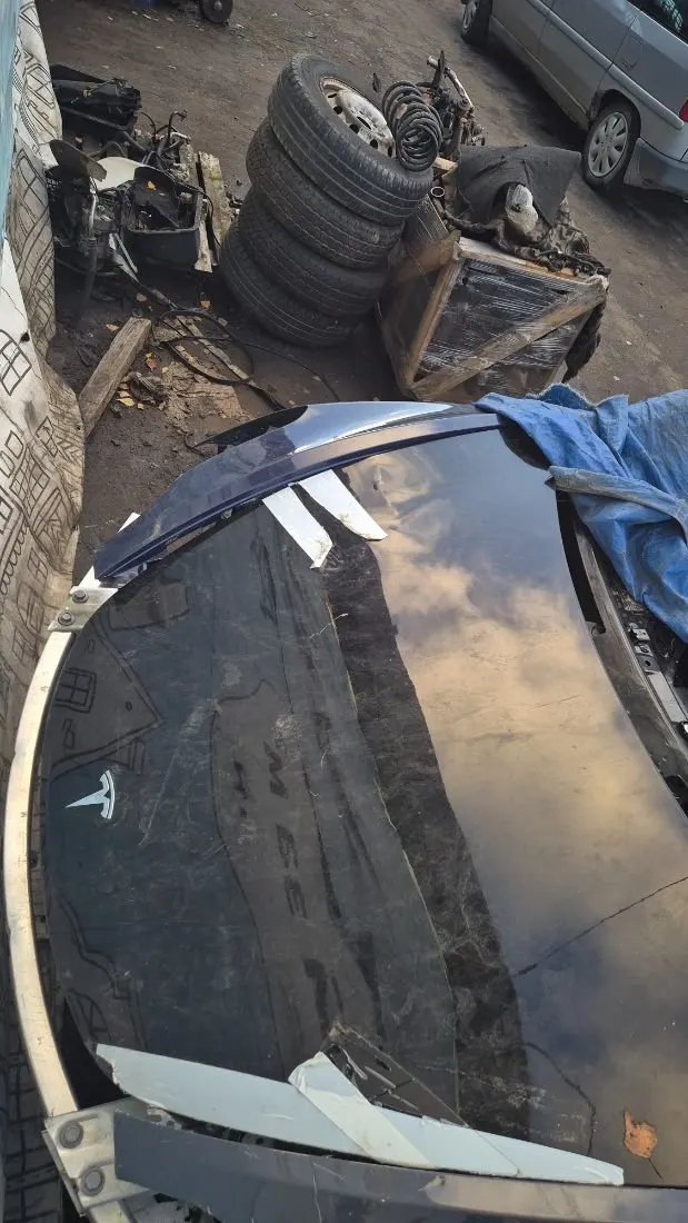 Петля капота левая Tesla Model 3 1 поколение