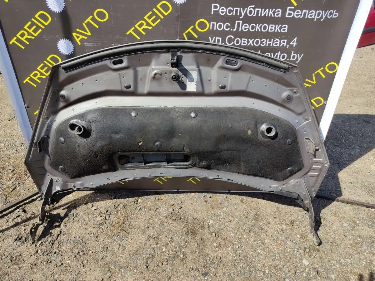 Петля капота левая Renault Espace 4 поколение — фото 3