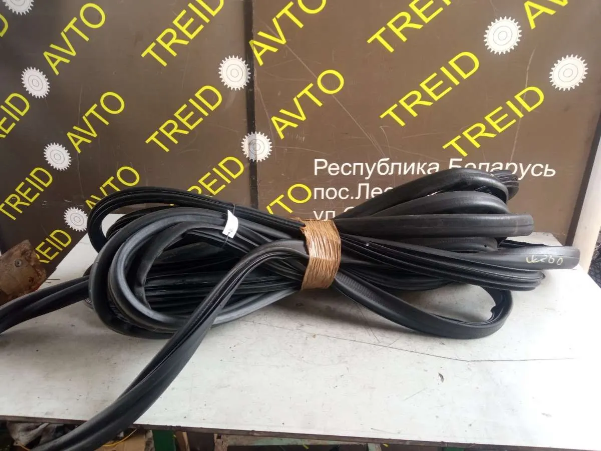 уплотнитель двери Renault Scenic 3 поколение